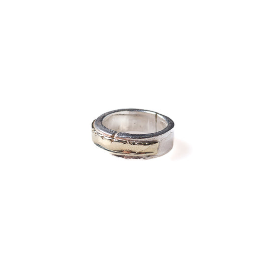 BAND  2 COLORS RING